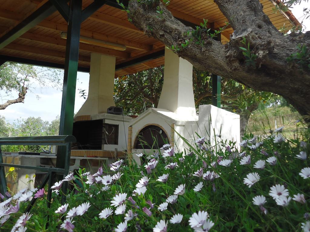 Muses Villas Finikounta Room photo